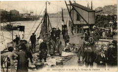 Boulogne-sur-Mer - Triage du poisson à Boulogne-sur-Mer