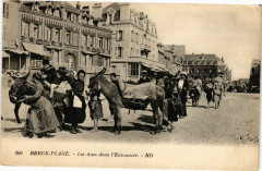 Berck-Plage - Les Anes dans l'Entonnoir à Berck