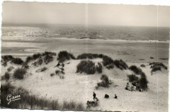 Sainte-Célile-Plage un Aspect des Dunes bordant... -
													62 Pas de Calais
												