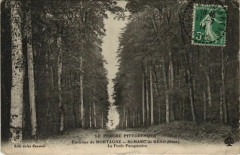 Saint-Marc-de-Reno La Foret Perspective à Sai