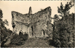 Domfront Les Ruines du Donjon France