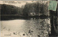 Foret de Bellesme-L'Etang