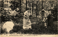 Bagnoles de L'Orne - La Cueillette des Myrtiles