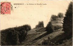 Montmerrey - Le Cháteau de Blanche Lande -
													61 Orne
												