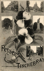 Pensée de Tinchebray