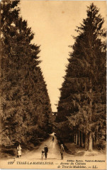 Tessé-la-Madeleine -Avenue du Cháteau de Tessé-la-Madeleine