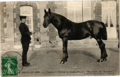 Le Haras-du-Pin - Fuschia