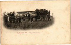 Le Haras-du-Pin - Attelage de perherons