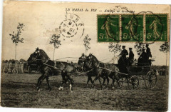 Le Haras-du-Pin - Attelage de sang