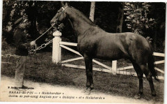 Haras-du-Pin - hallebardier