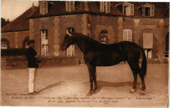 Haras-du-Pin - take my tip