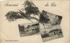 Souvenir du Pin