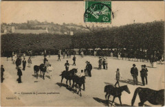 Concours de Juments poulinieres