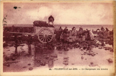 Villerville-sur-Mer - Le Chargement des moules à Villerville