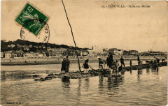 Trouville - Peche aux Moules