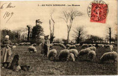 Au pays Normand - Les Moutons