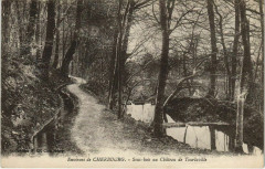 Cherbourg-Sous bois au Chateau de Tourlaville