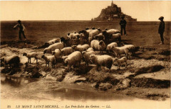 Le Mont-Saint-Michel Prés-Salés des Gréves au Mont-Saint-Michel