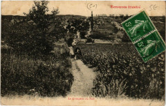 Ecrouves Illustré - La Grimpette du Fort
