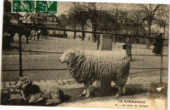 La Normandie - La mere et l'enfant