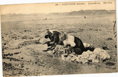 Saint-Pair - Lavandieres -
													50 Manche
												