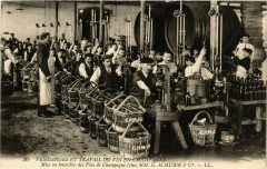 G.h.mumm Vendages et Travail du Vin en Champagne. Mise en bouteille