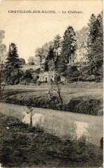 Chatillon sur Saone Le Chateau