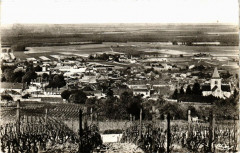 Mesnil sur Oger - Vue générale
