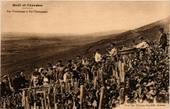 Moet et Chandon -
													51 Marne
												