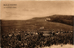 Moet en Chandon - Les Vendanges a Saran