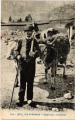 Les Pyrénées - Départ pour les Champs -
													65 Hautes Pyrénées
												