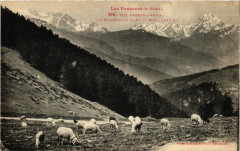 Col d'Aspin - Les Paturages et le Pic du Midi -
													65 Hautes Pyrénées
												