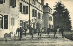 Pau - Haras de Celoos - Avant le reyne des Etalons