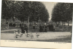 Pyrenées - Marché aux Oles