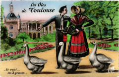 Les Oies de Toulouse à Toulouse