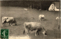 Et types des Pyrénées, Paturage