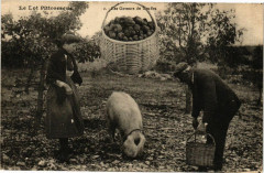 Les Gaveurs de Truffes