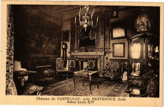 Chateau de Castelnau pres Bretenoux - Salon Louis Xiv à Bretenoux