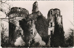 Ruines du Chateau de l'Herm - pres Rouffignac