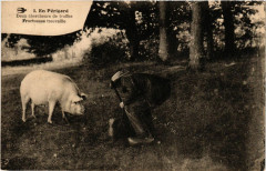 En Perigord - Deux chercheurs de truffes