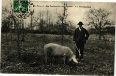 En Perigord-La recherche des Truffes-La Récompense