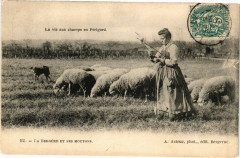 La vie aux champs en Perigord-La Bergere et ses Moutons