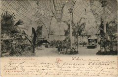 Pau - Palmarium au Palais d'Hiver -
																					64000 Pau
																			