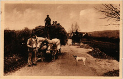 Types Basques - Env. de Biarritz - Attelage Basque à Biarritz