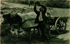 Pays Basque - Le Buveur