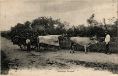 Attelage Basque