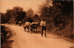 Attelage Basque