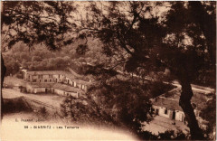 Biarritz - Les Tamaris à Biarritz