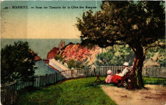 Biarritz Sous les Tamaris de la cote des basques à Biarritz