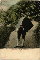 Pyrenées - Type Ossalois